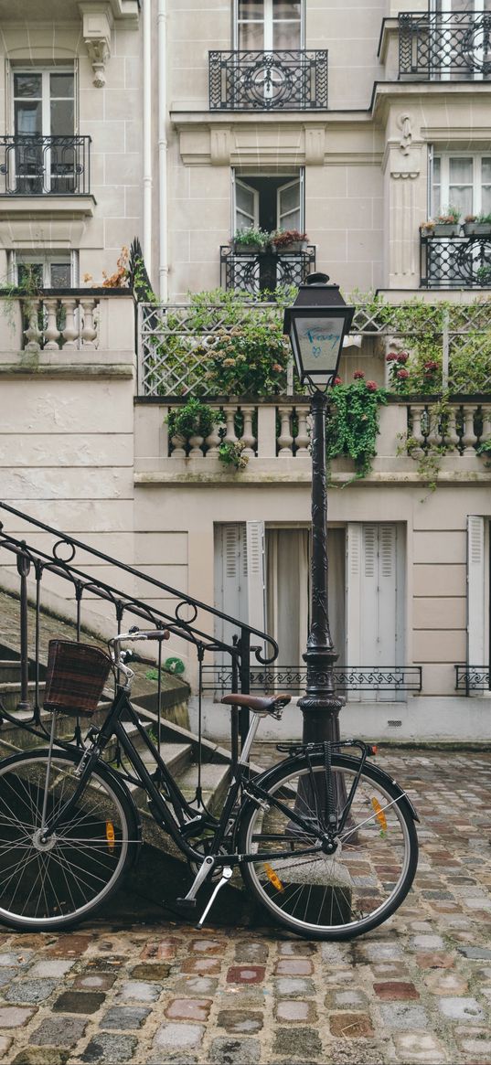 bicycle, street, city, facade