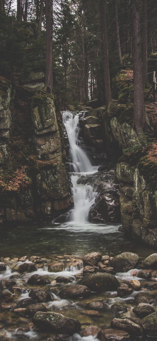 waterfall, current, forest, trees, stones