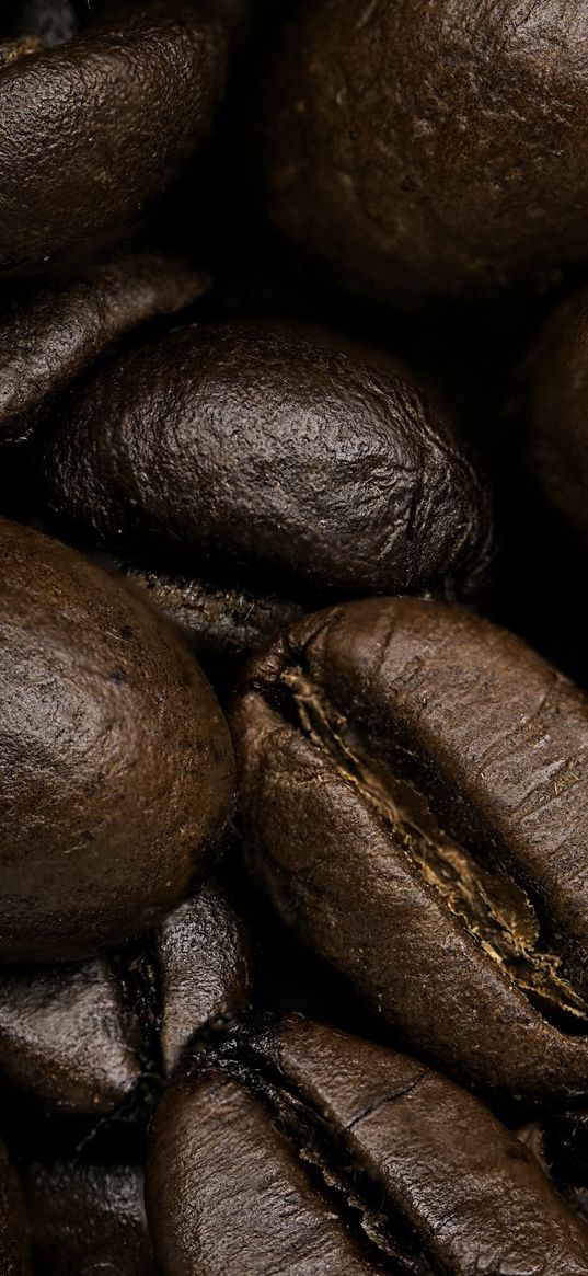 coffee beans, coffee, close-up