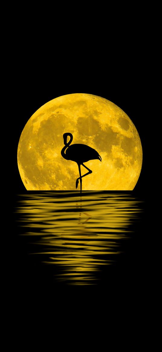 flamingo, moon, silhouette, reflection, art