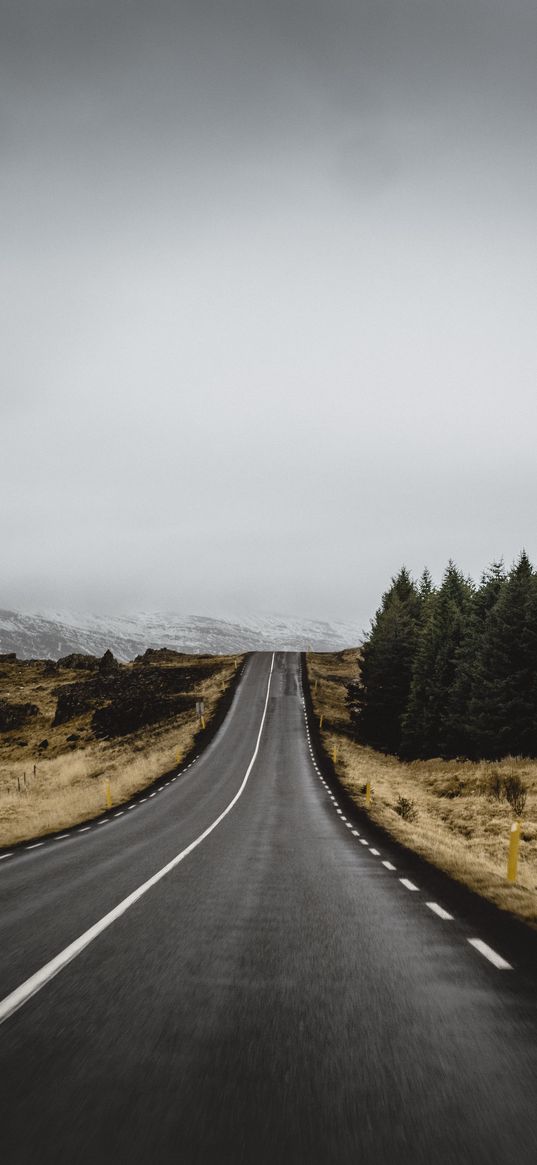 road, marking, trees, climbing