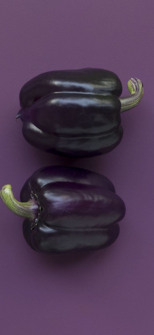 pepper, vegetable, purple