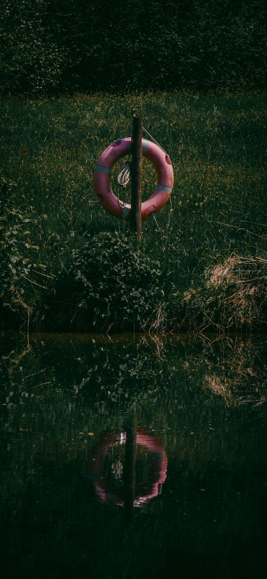 lifebuoy, grass, river, reflection, water, lake