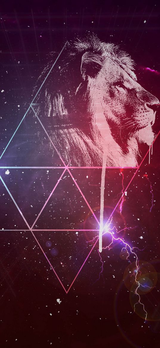 lion, art, starry sky, triangles