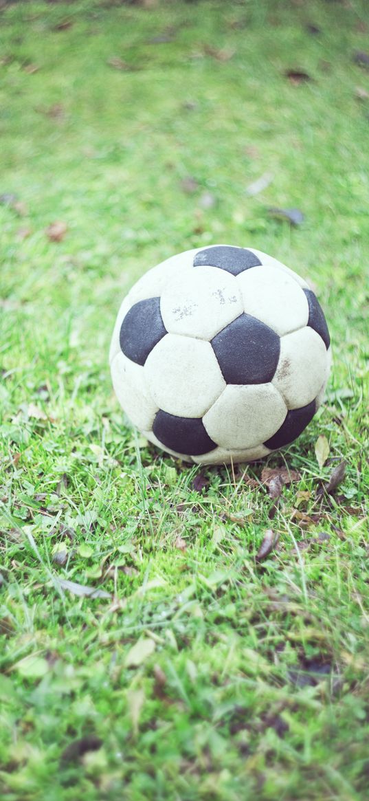 soccer ball, football, grass, blur