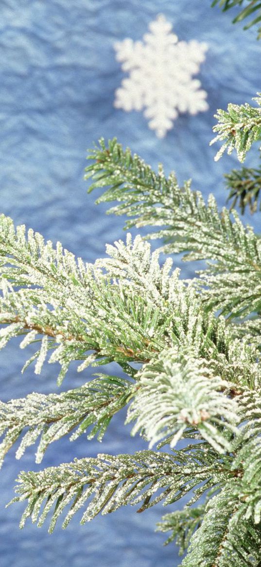 christmas, new year, fur-tree, attribute, snowflakes