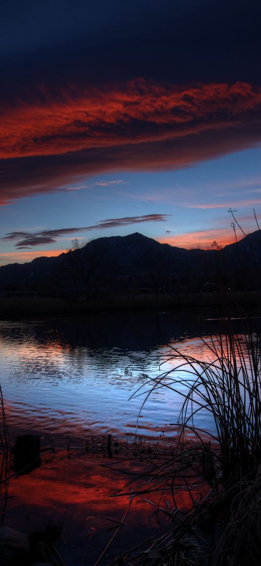 lake, sunset, reeds, shore, serenity