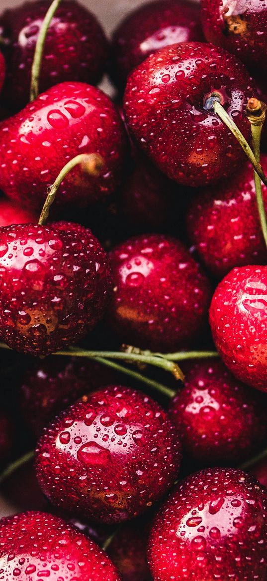 cherries, drops, cherry, berry, close-up, ripe