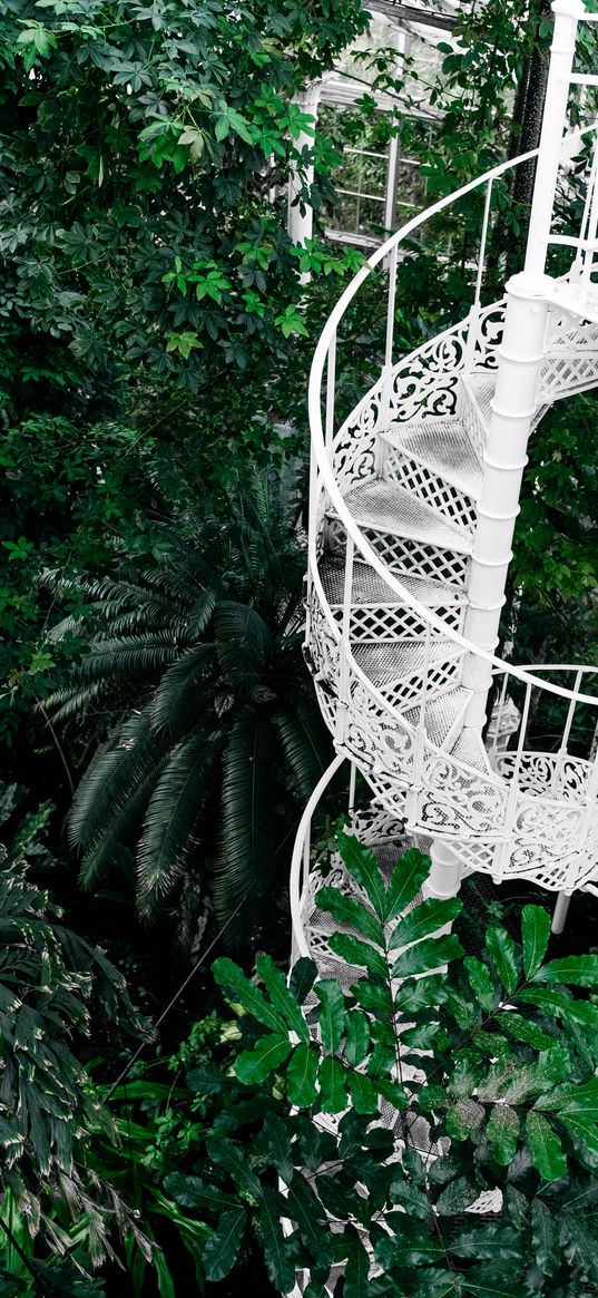 staircase, circular, botanical garden, green, plants