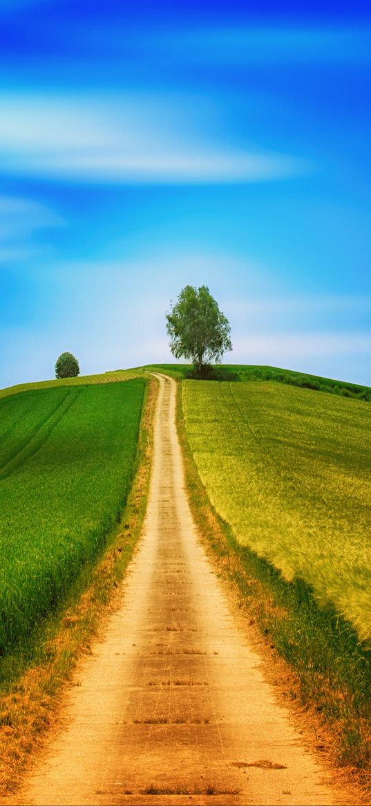 field, grass, summer, road, sky, hill