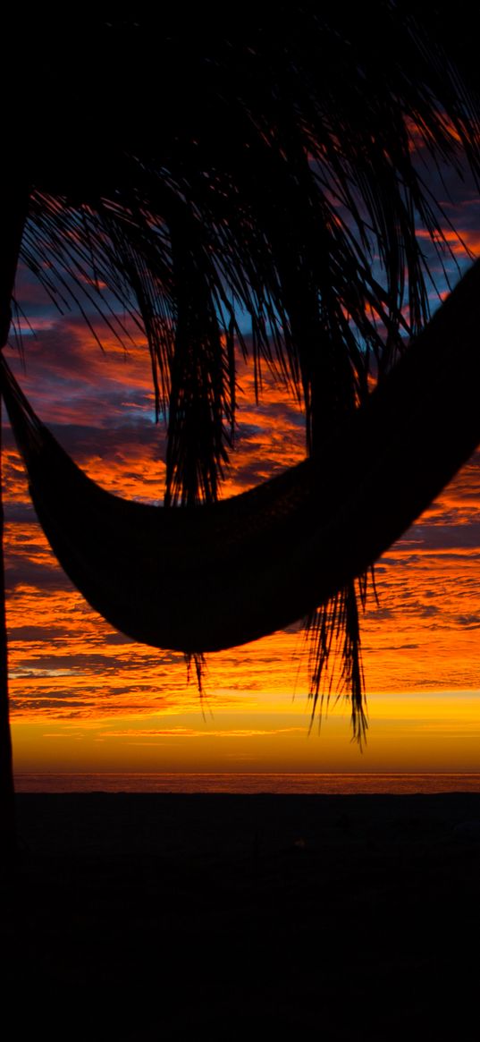 hammock, palm tree, sunset, clouds