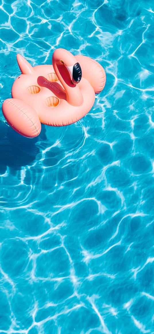 pool, water, flamingo, summer