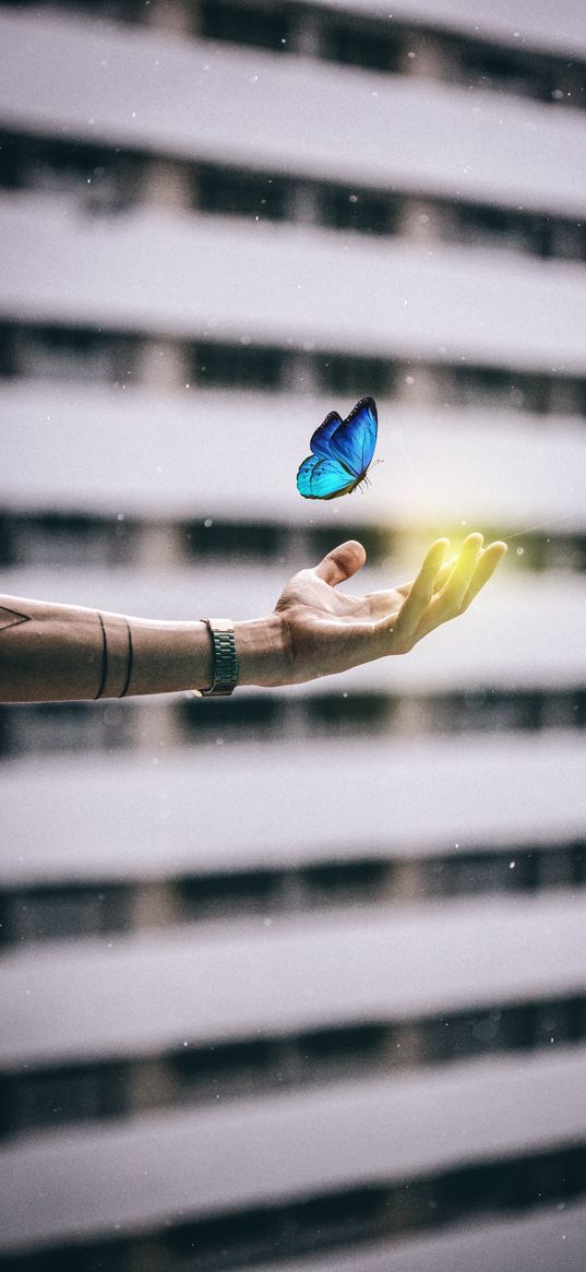 hand, butterfly, tattoo, window, photoshop