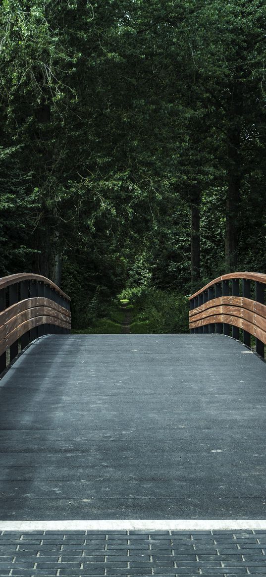 bridge, trees, forest, park