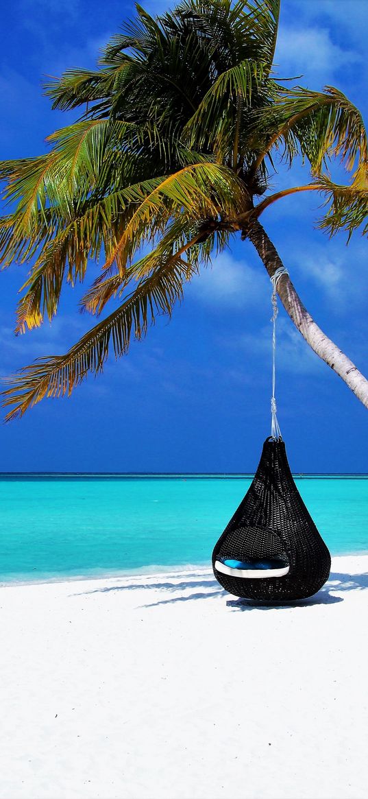 maldives, palm, beach, relax, rest, ocean, sand, resort