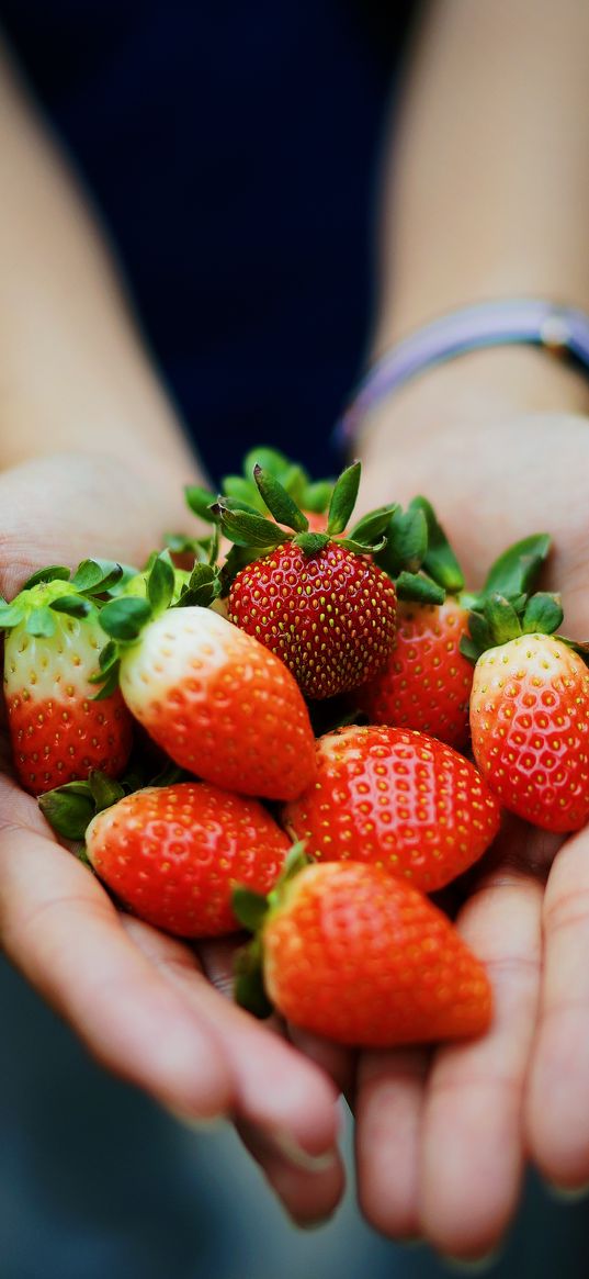 strawberry, hands, berries, ripe, juicy, summer