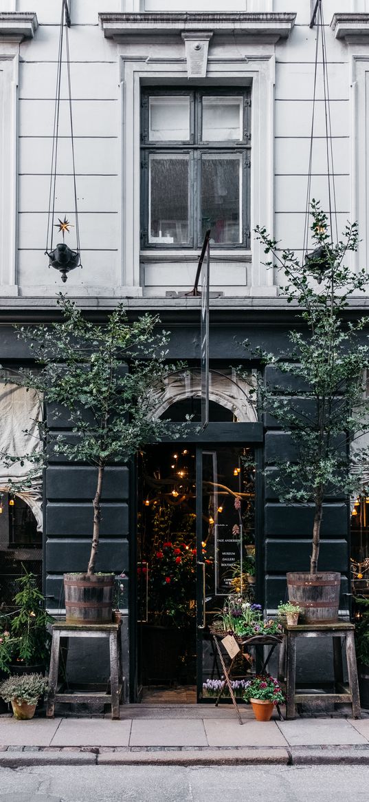 facade, building, plants, entrance, door, window, street