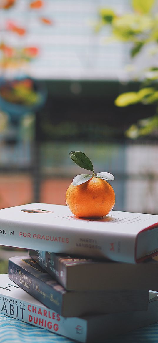 mandarin, books, table, reading, light