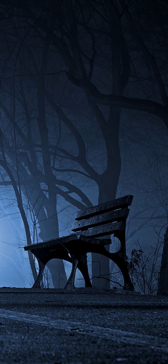 bench, night, park, gloomy