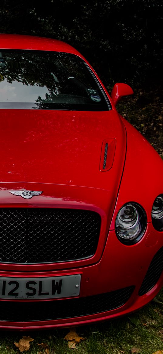 bentley continental gt, red, front view, luxury