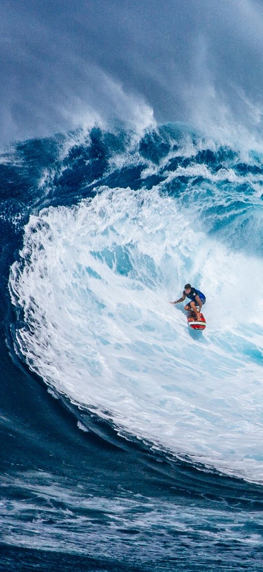 surfer, surf, wave, hawaii