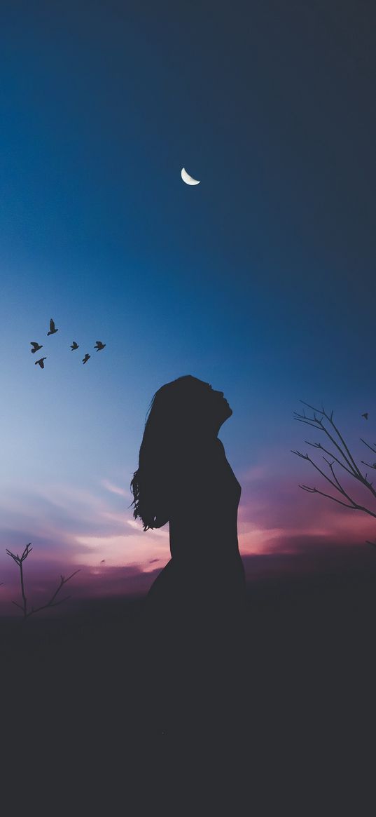 girl, silhouette, moon, birds, night, harmony, loneliness