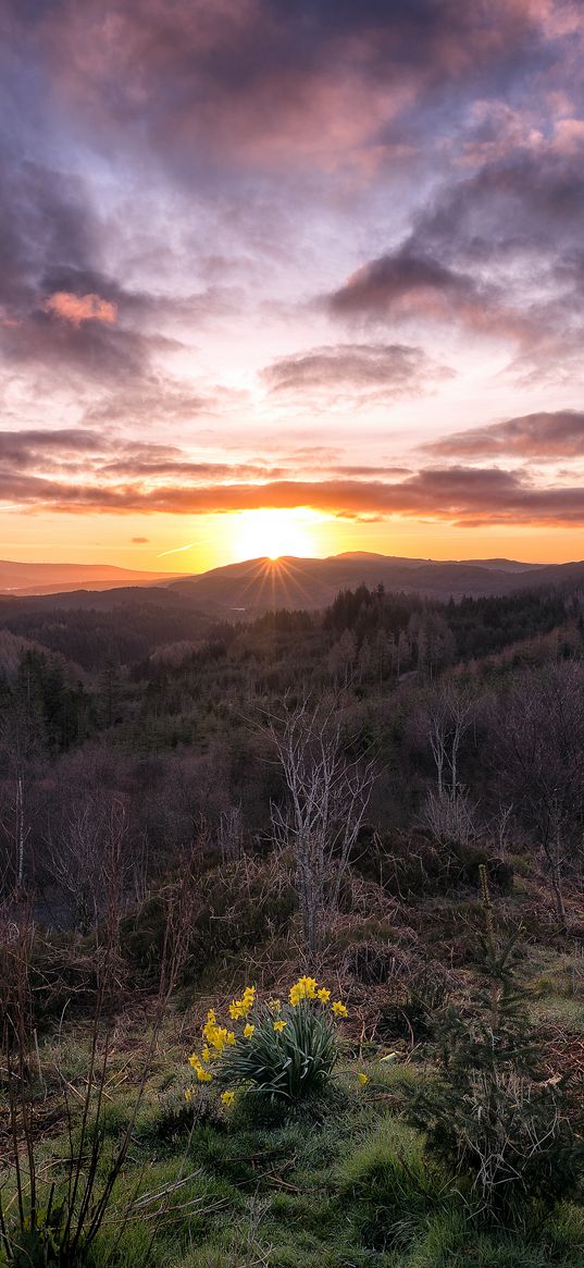 mountains, sunrise, sky, landscape, loch lomond, trossachs national park, scotland