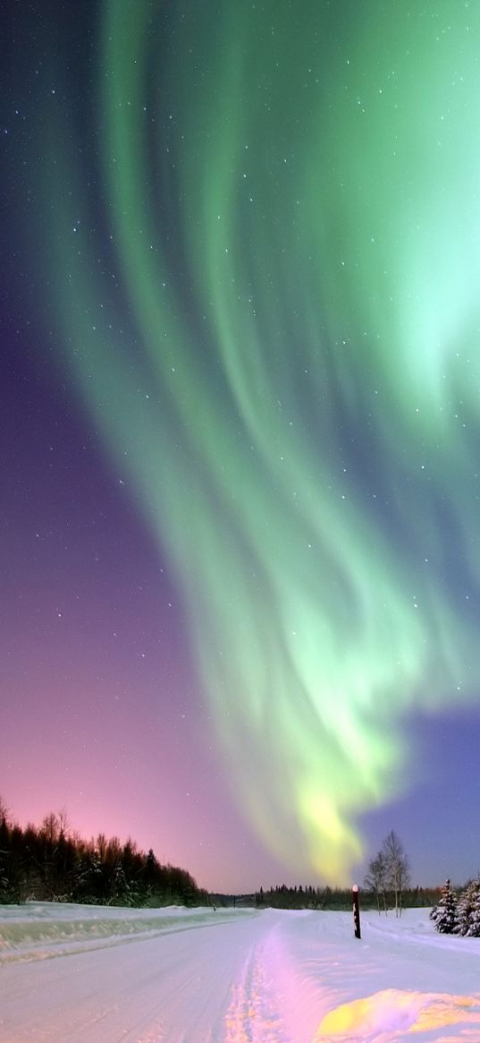 northern lights, aurora, winter, snow, starry sky