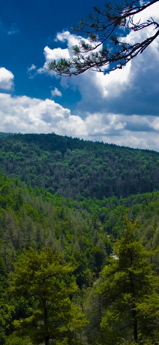 mountains, trees, view from above, sky, linvill falls, north carolina