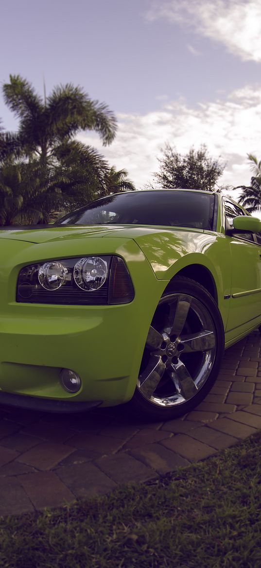 dodge charger daytona, dodge, green, sports car