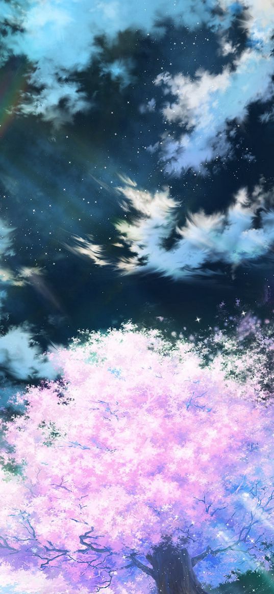 sakura, art, sky, anime, pink