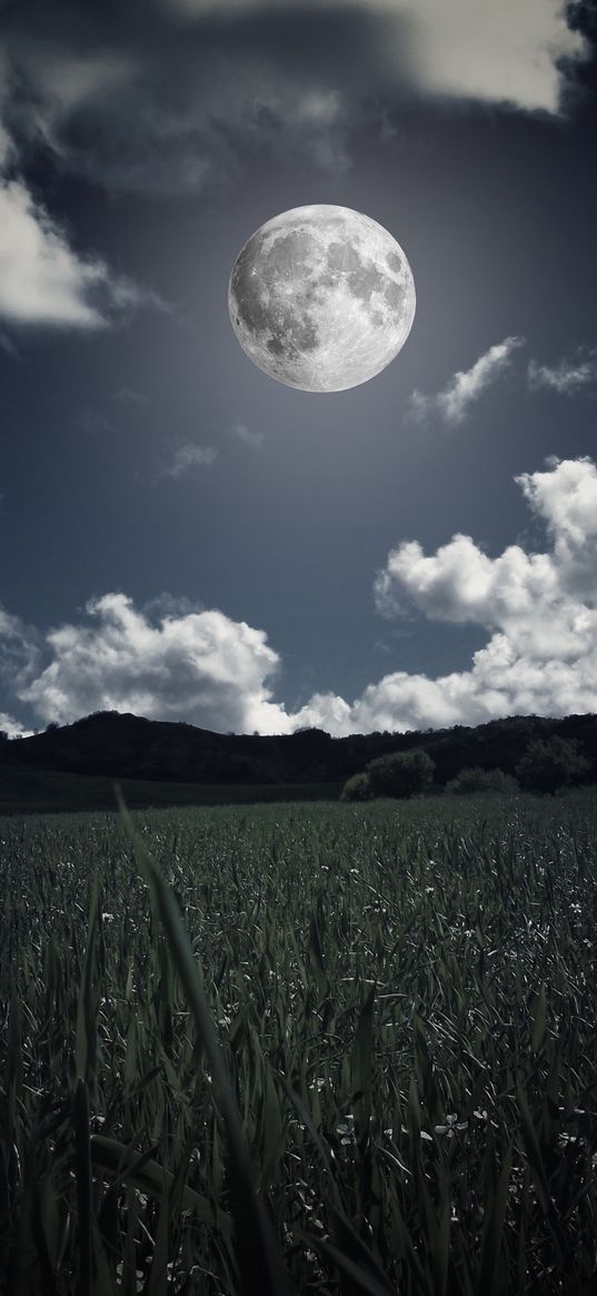 moon, clouds, grass, field, full moon, photoshop