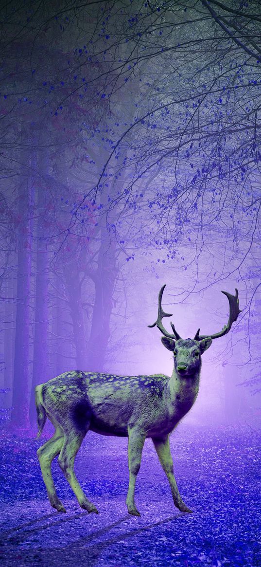 deer, forest, mystical, purple, photoshop