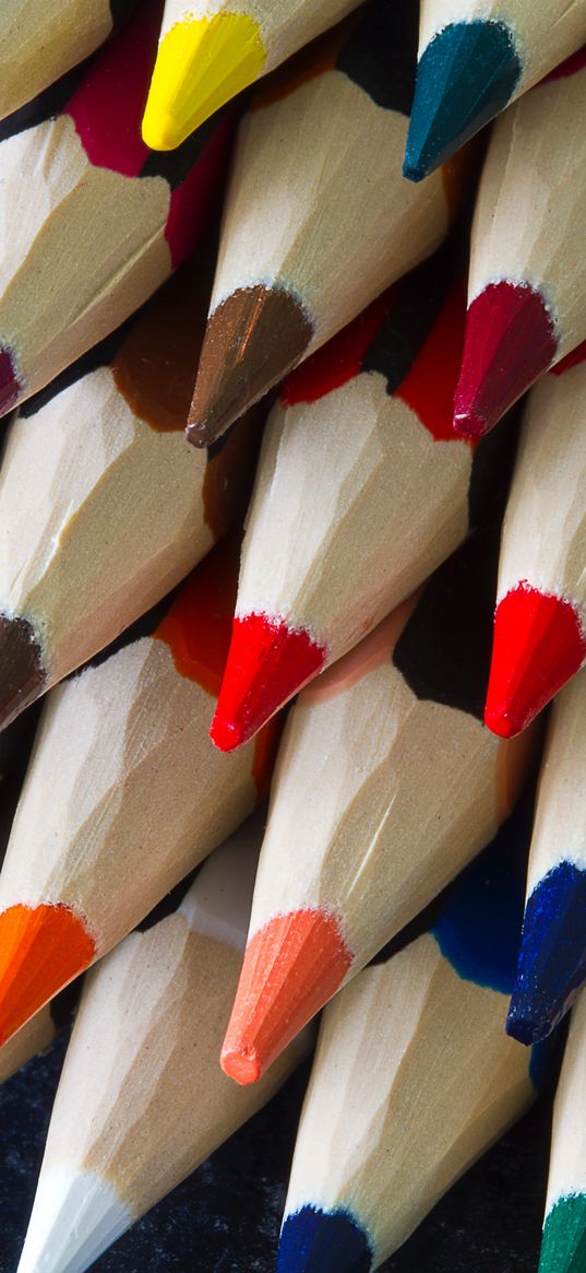 colored pencils, sharpened, colorful, sharp