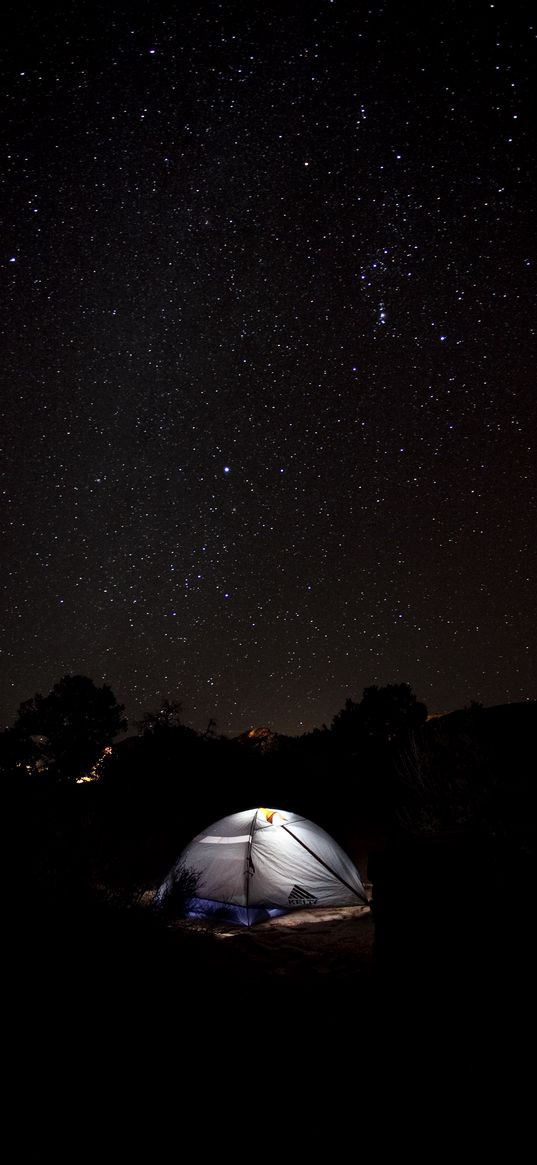 tent, starry sky, camping, night