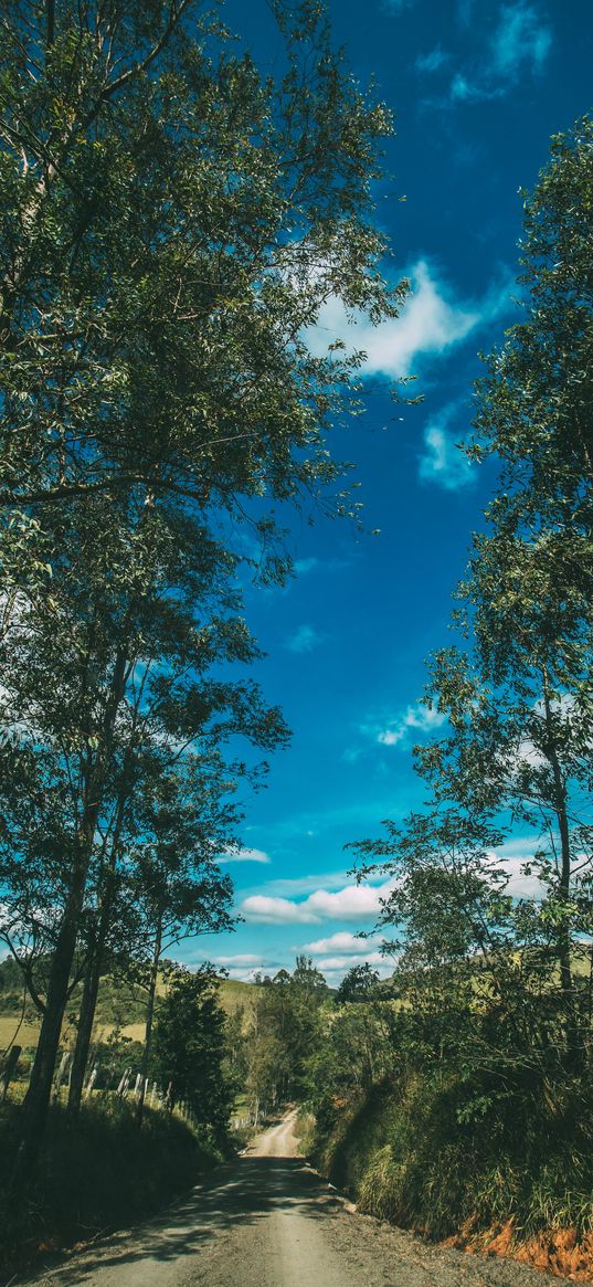 summer, road, trees, sky, sunny