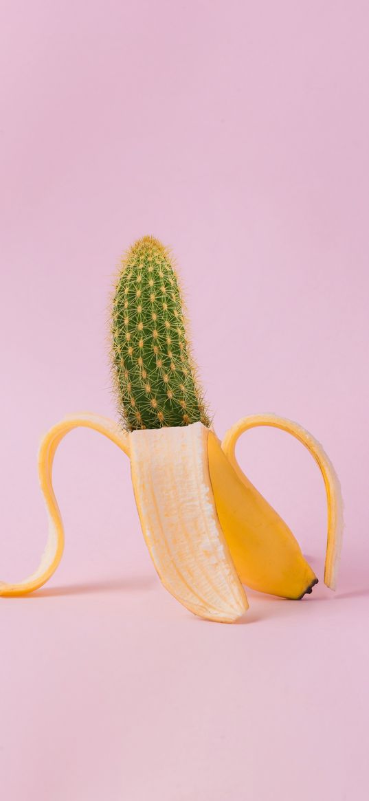 banana, cactus, creative, minimalism