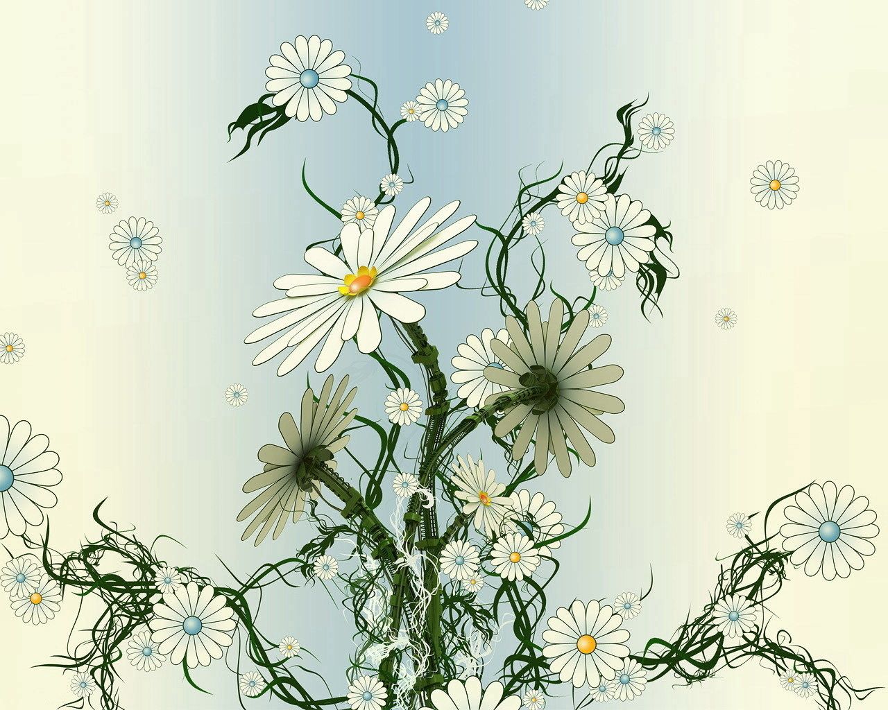 chamomile, flowers, white, yellow, green