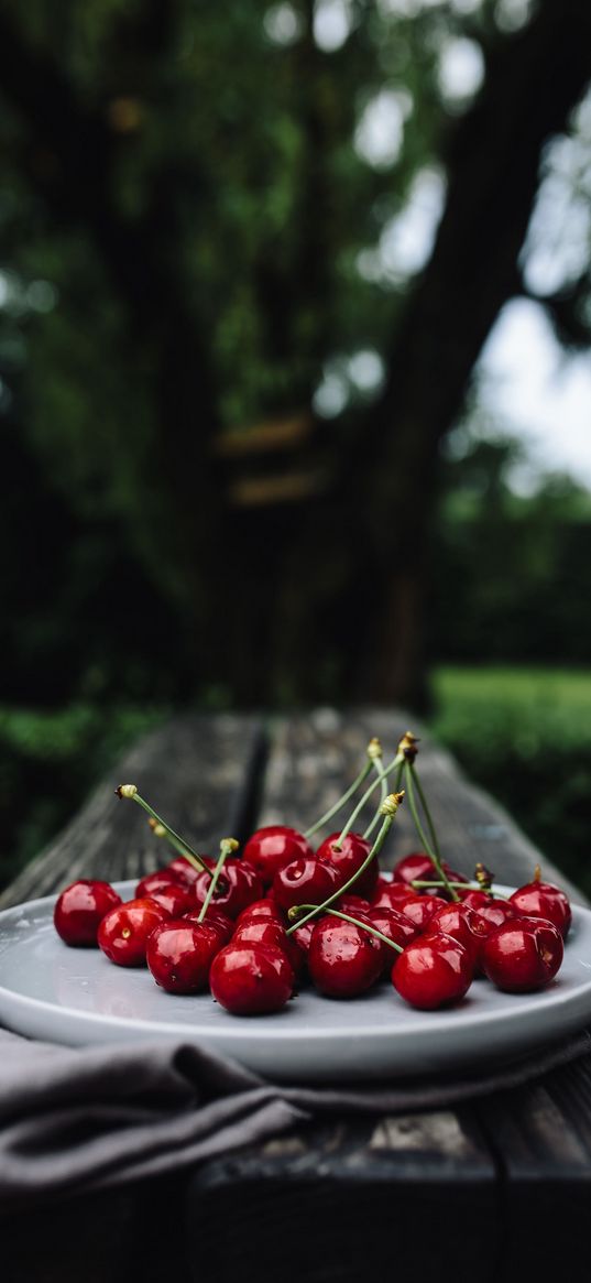 cherries, cherry, dish, motion blur