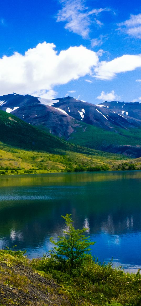 mountains, lake, grass, sky, summer, torres del paine, chile, patagonia