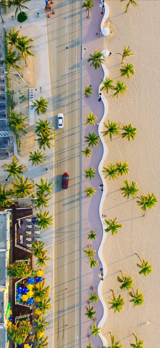 palms, road, view from above, cars, tropics, summer