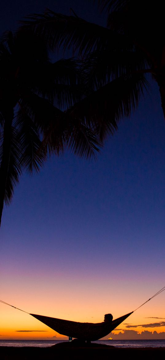 palms, hammock, night, silhouettes, rest, tropics