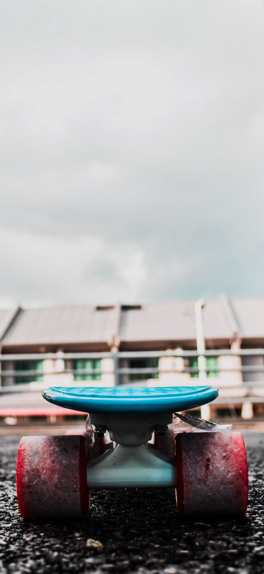 skateboard, board, wheels, close-up