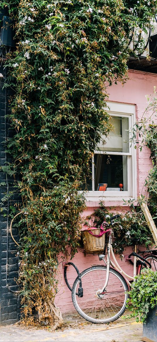 bicycle, house, plants, decoration, window