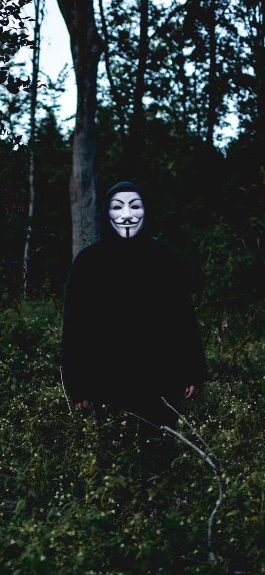 mask, man, forest, anonymous