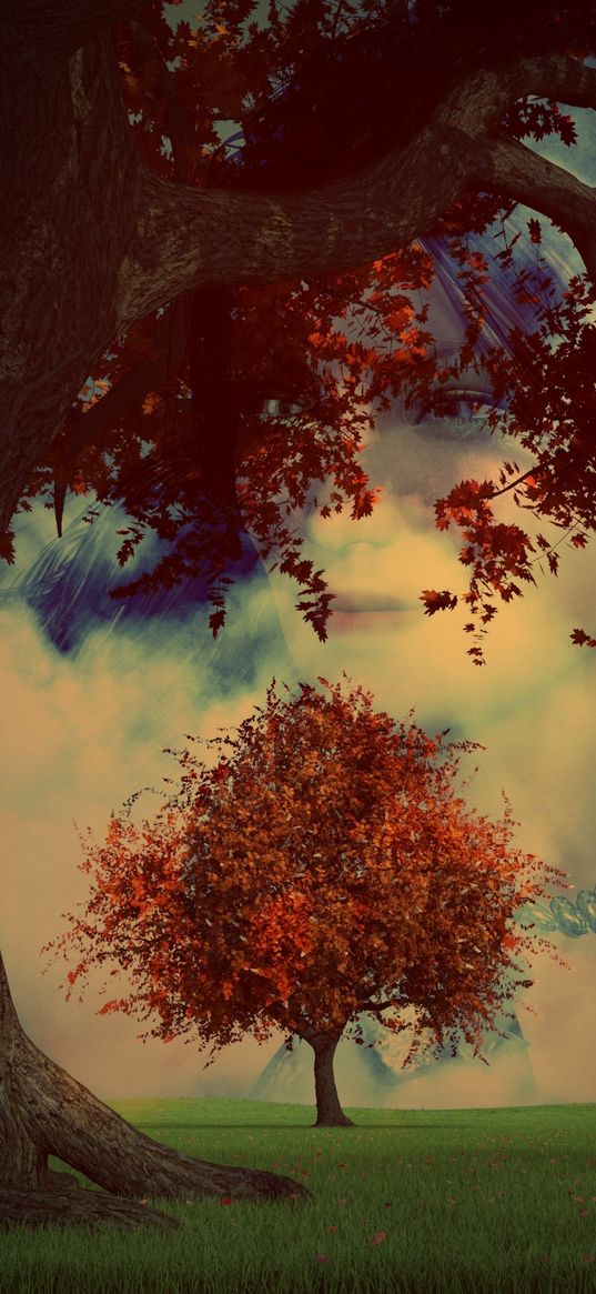 surrealism, trees, face, autumn, photomanipulation