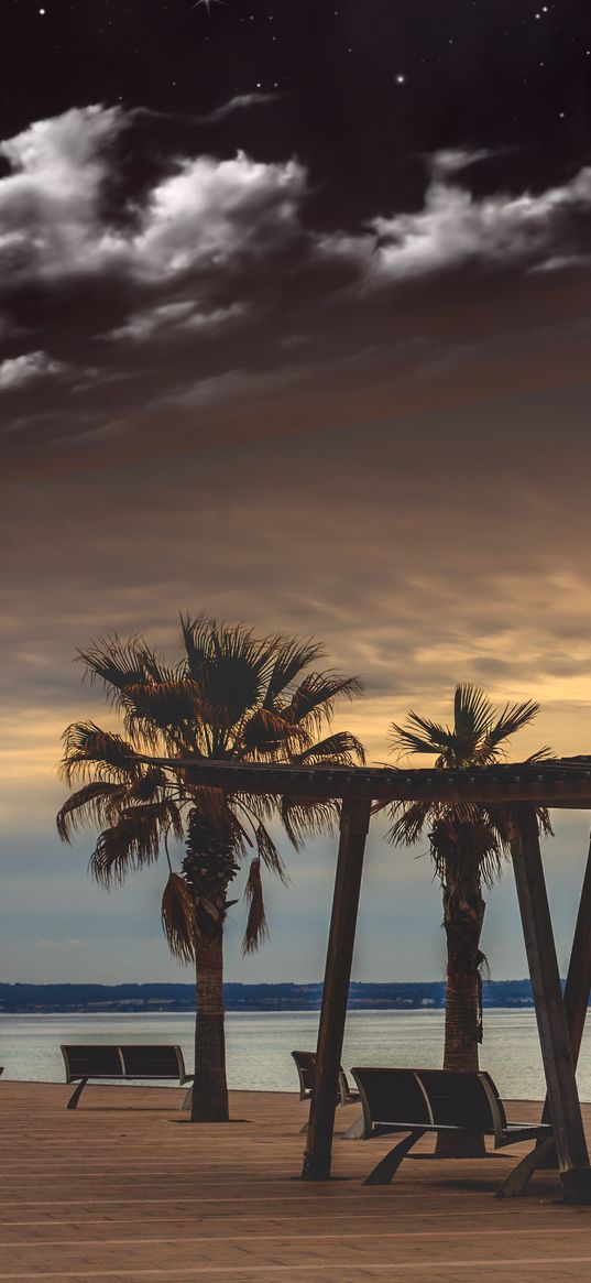 sea, benches, palms, rest, evening, clouds, starry sky