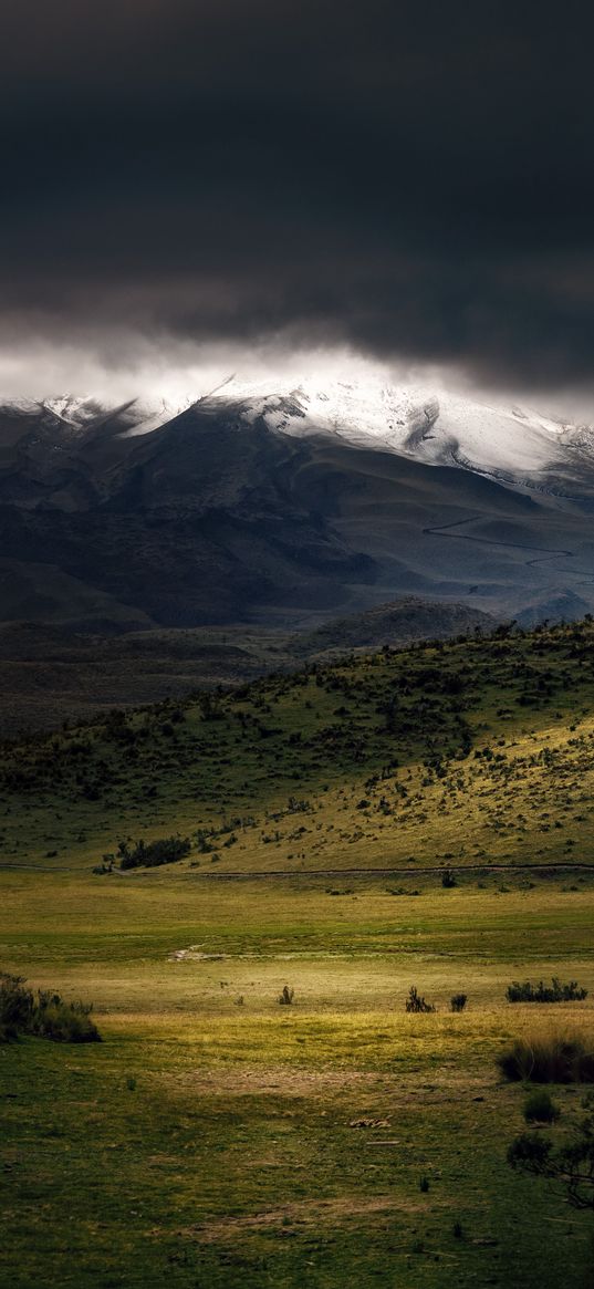 mountains, fog, clouds, top, grass, landscape