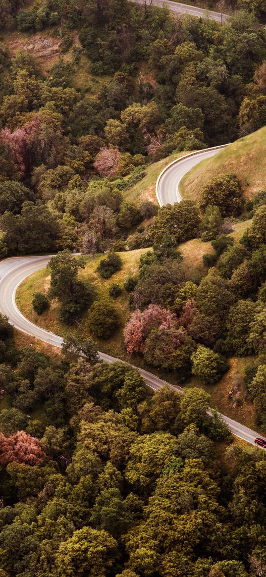 road, view from above, hills, trees