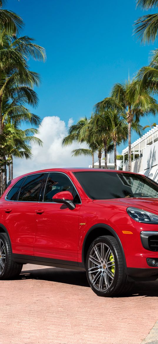 porsche cayenne, porsche, red, side view, palm trees